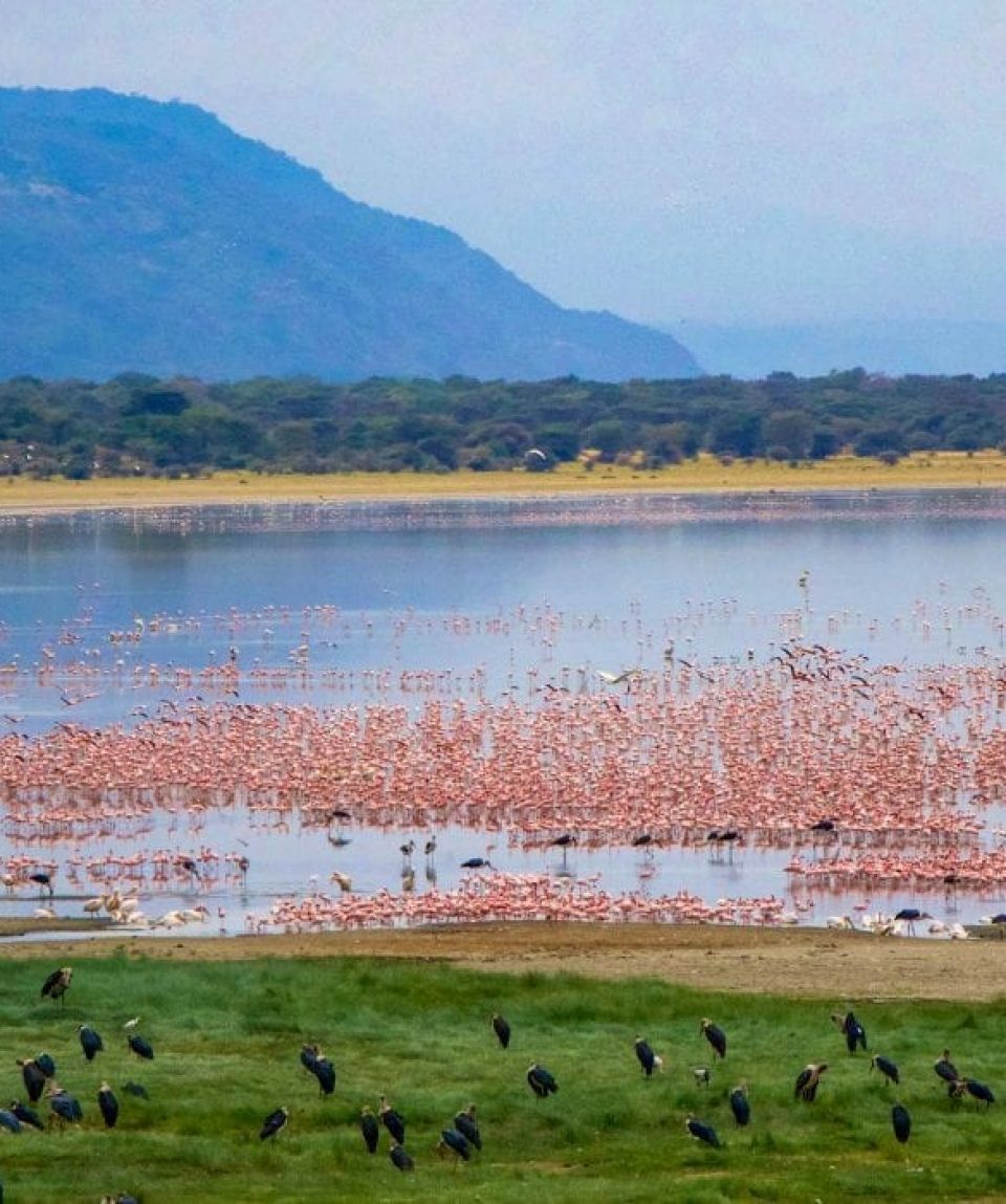 lake-manyara-1-1110x700